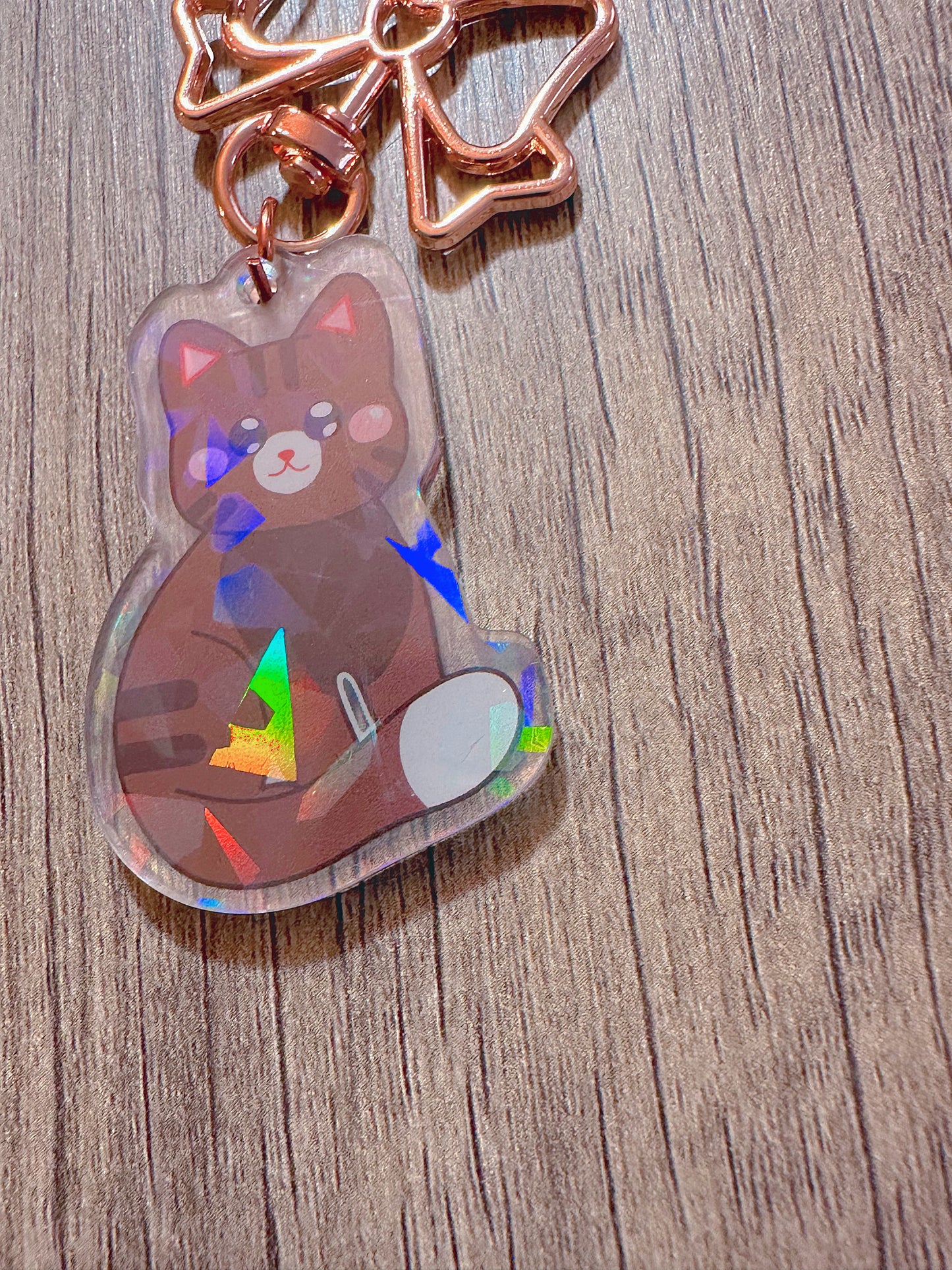 mystery/random holographic double sided kitty keychain | 5 different colors | blind bag