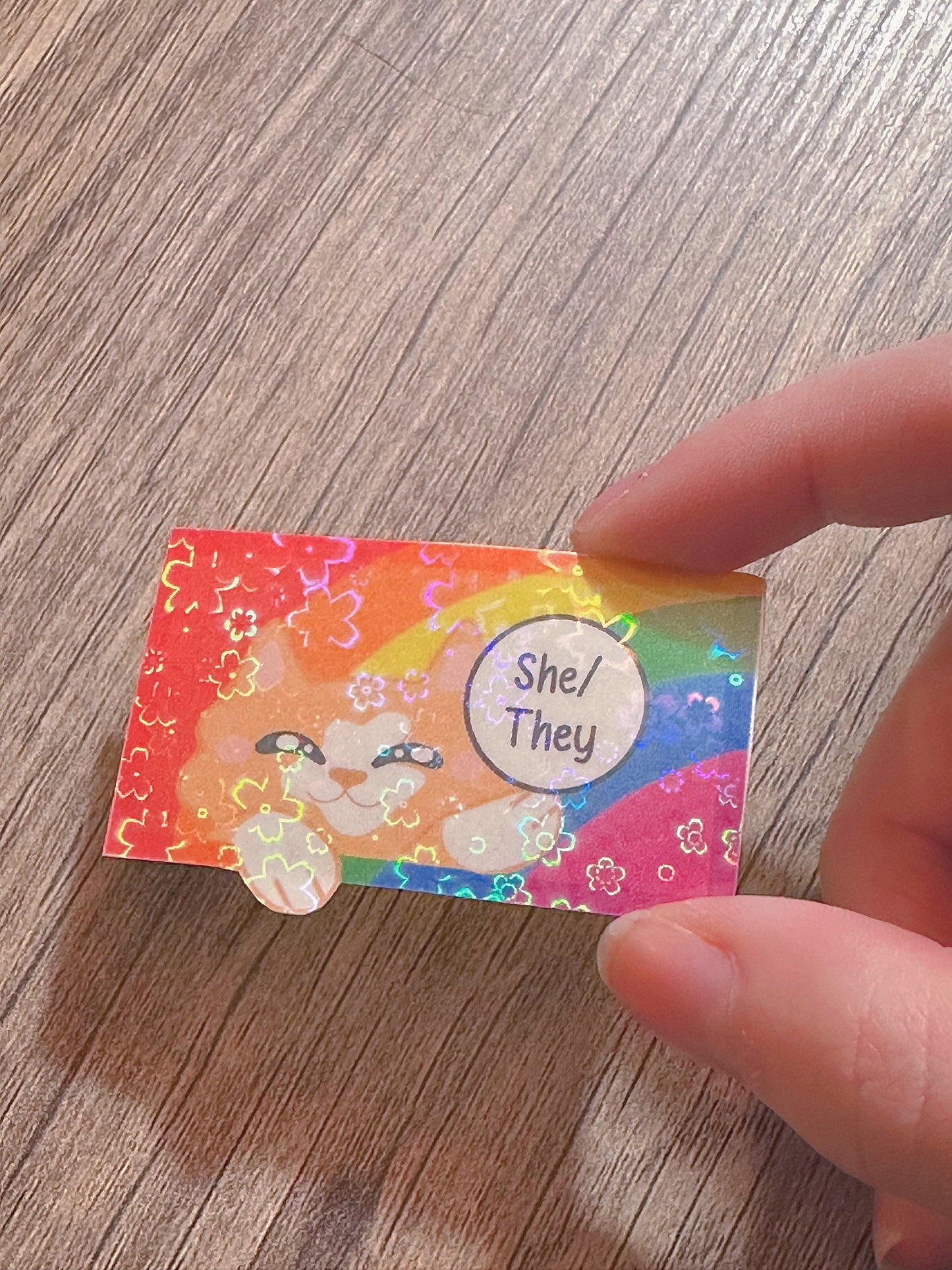 Cute Holographic Kitty Pronoun Sticker / Pride Stickers🏳️🌈🏳️⚧️
