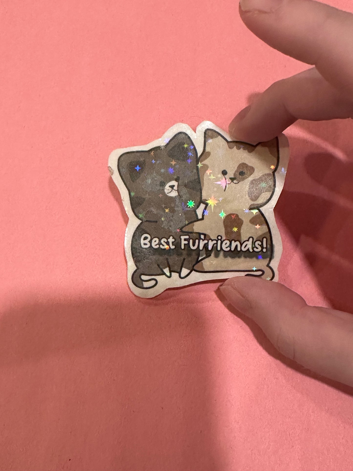 Cute Best Furriends Holographic Cat Sticker