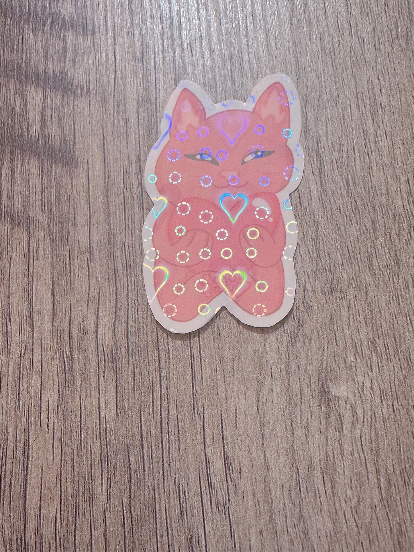 Waterproof Heart Kitty Holographic Sticker “HEARTZ”/ Valentines Day Sticker💌💗