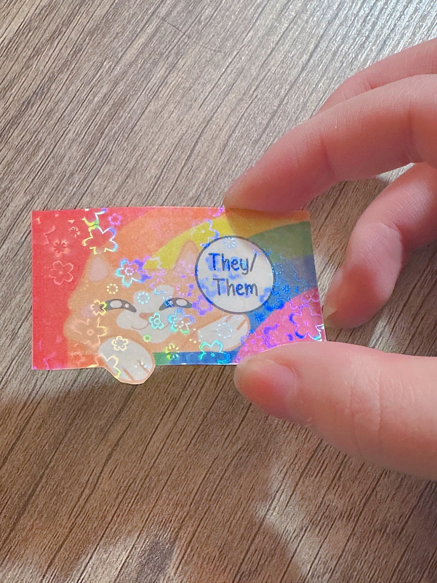 Cute Holographic Kitty Pronoun Sticker / Pride Stickers🏳️🌈🏳️⚧️