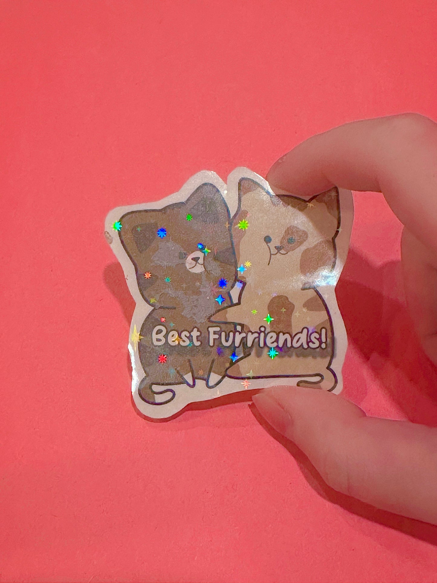 Cute Best Furriends Holographic Cat Sticker