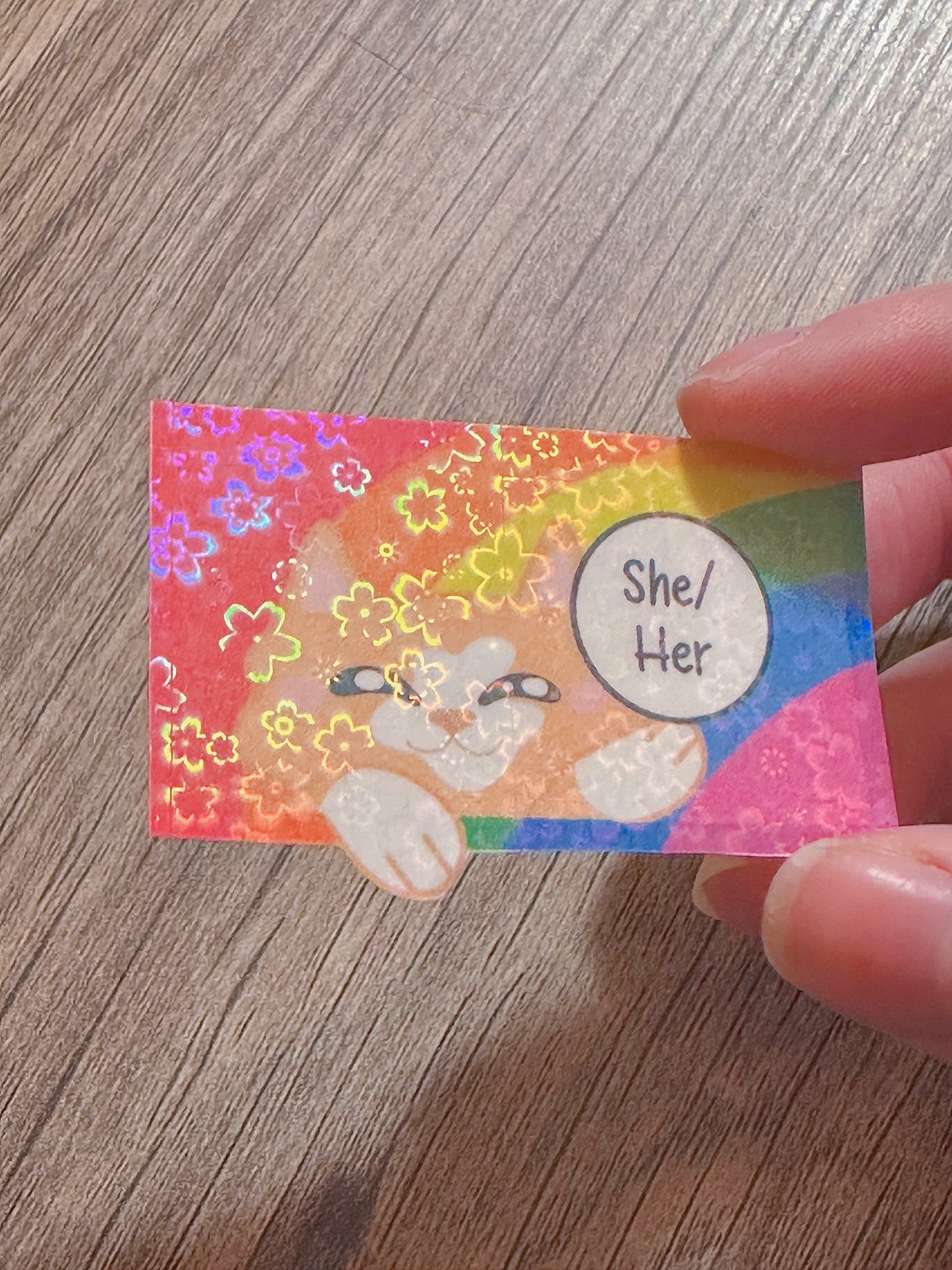 Cute Holographic Kitty Pronoun Sticker / Pride Stickers🏳️🌈🏳️⚧️
