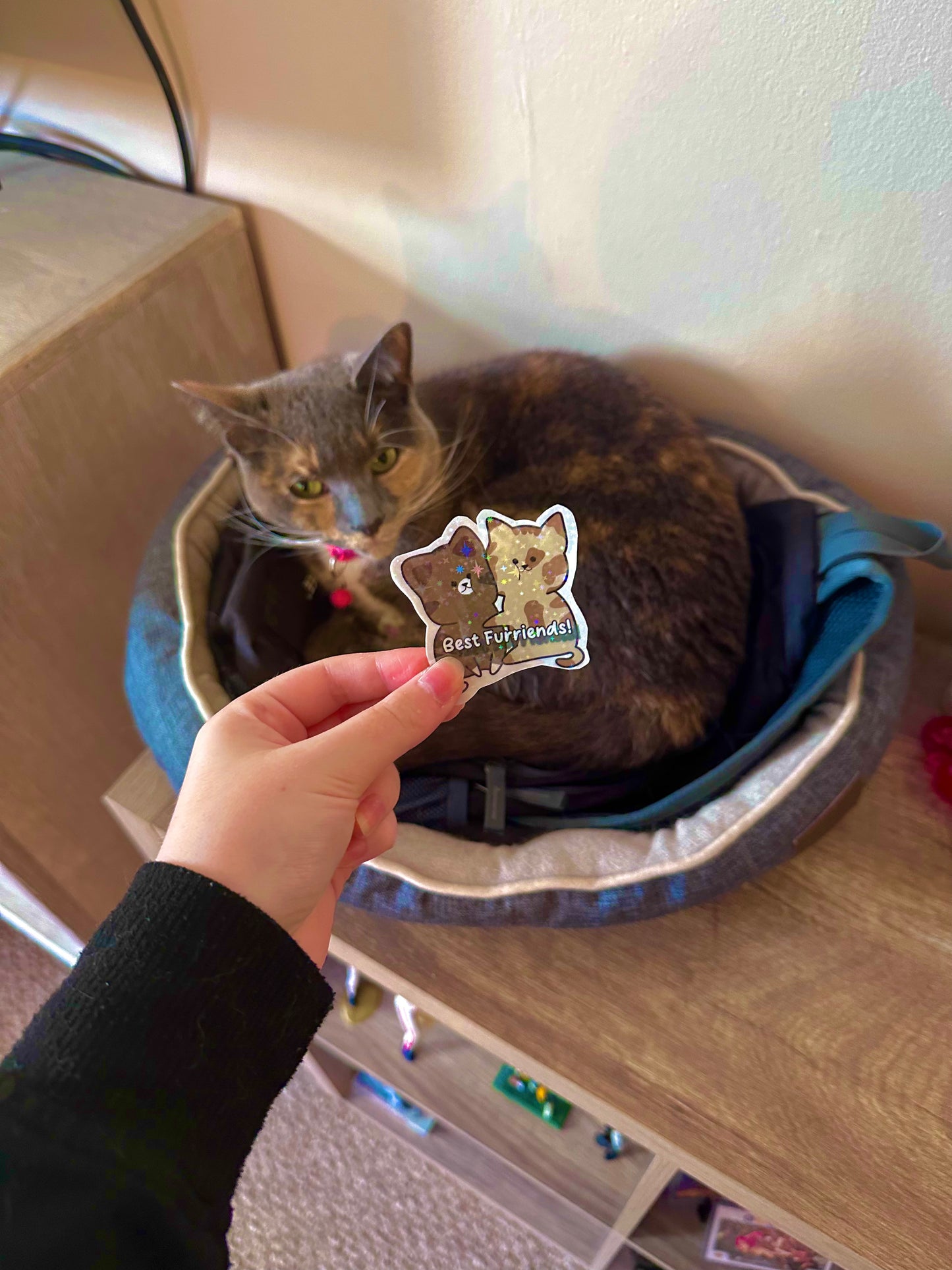 Cute Best Furriends Holographic Cat Sticker