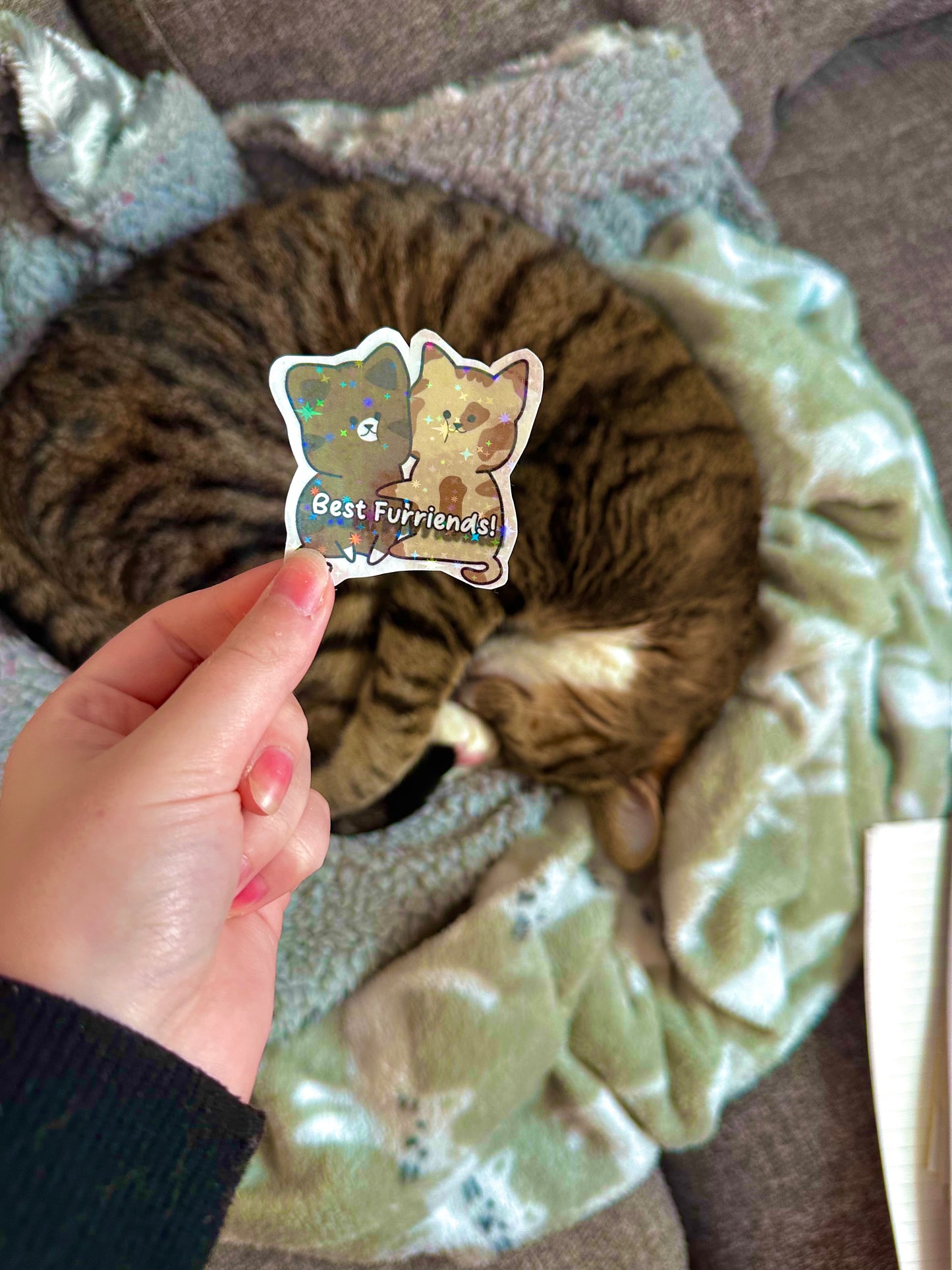 Cute Best Furriends Holographic Cat Sticker