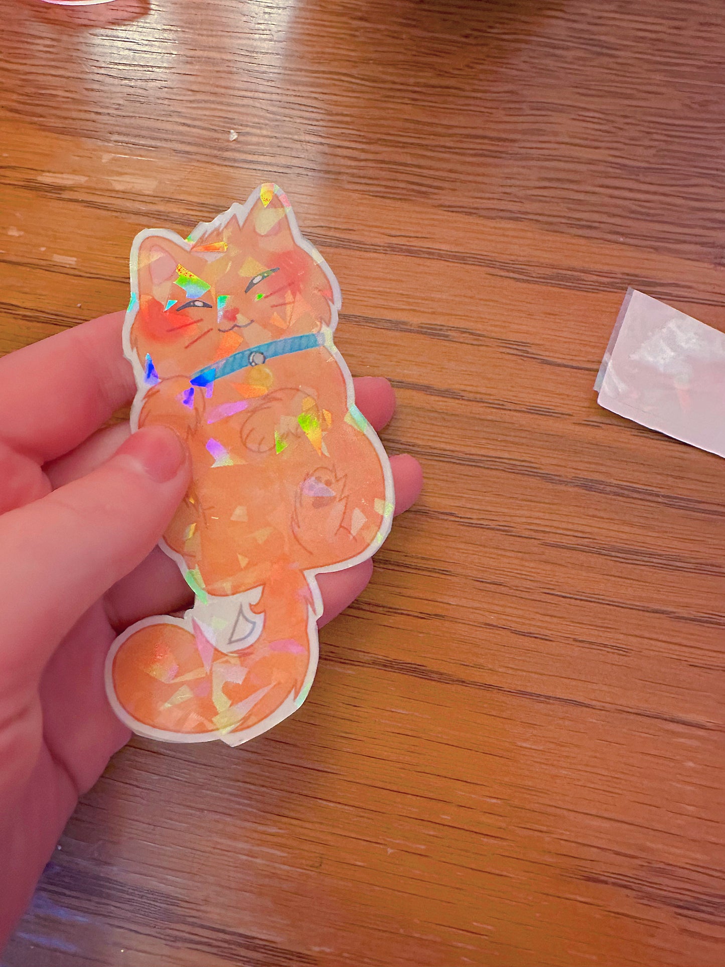 Cute Holographic Kitten Sticker Bundle (Broken Glass)