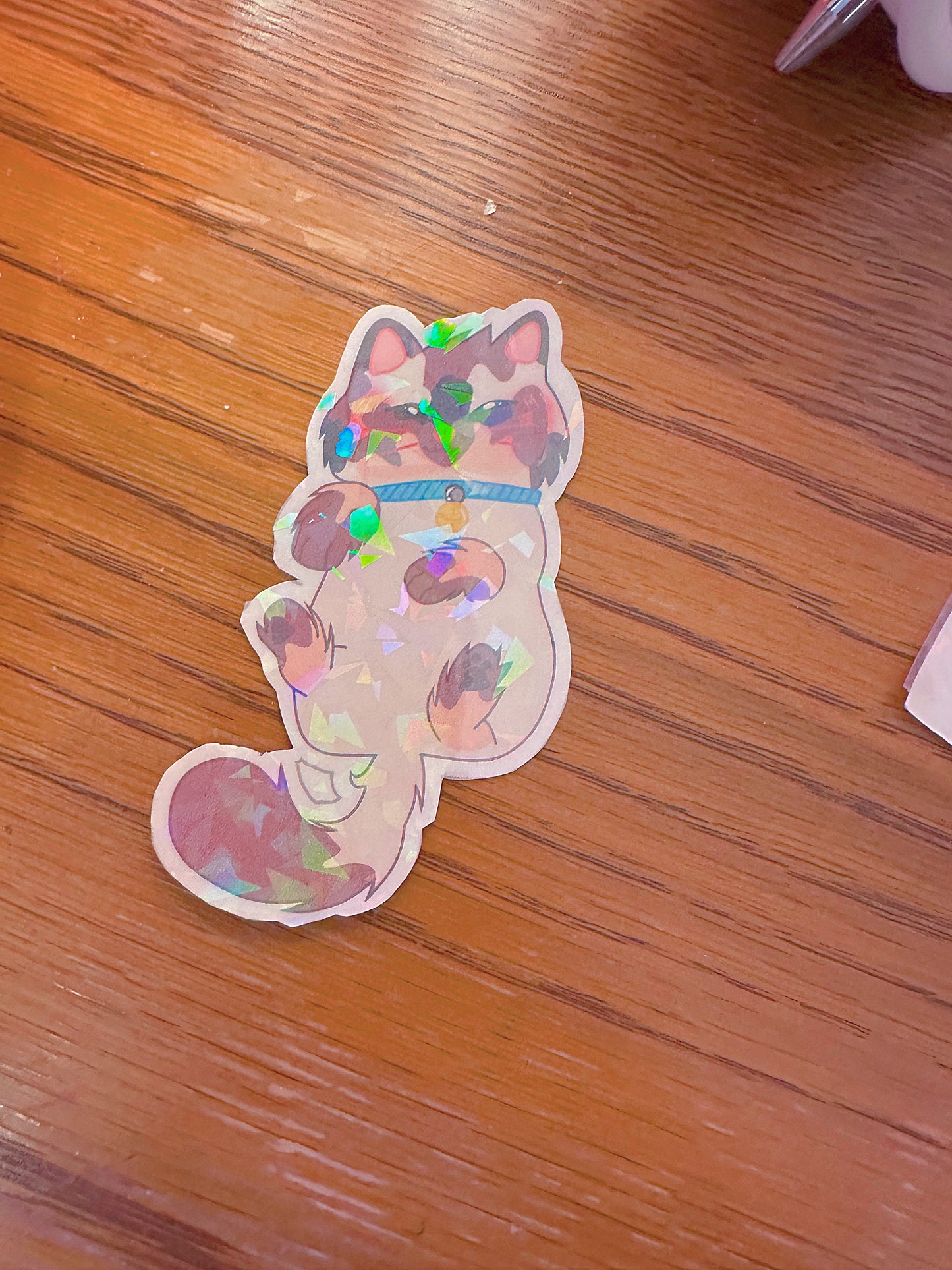 Cute Holographic Kitten Sticker Bundle (Broken Glass)