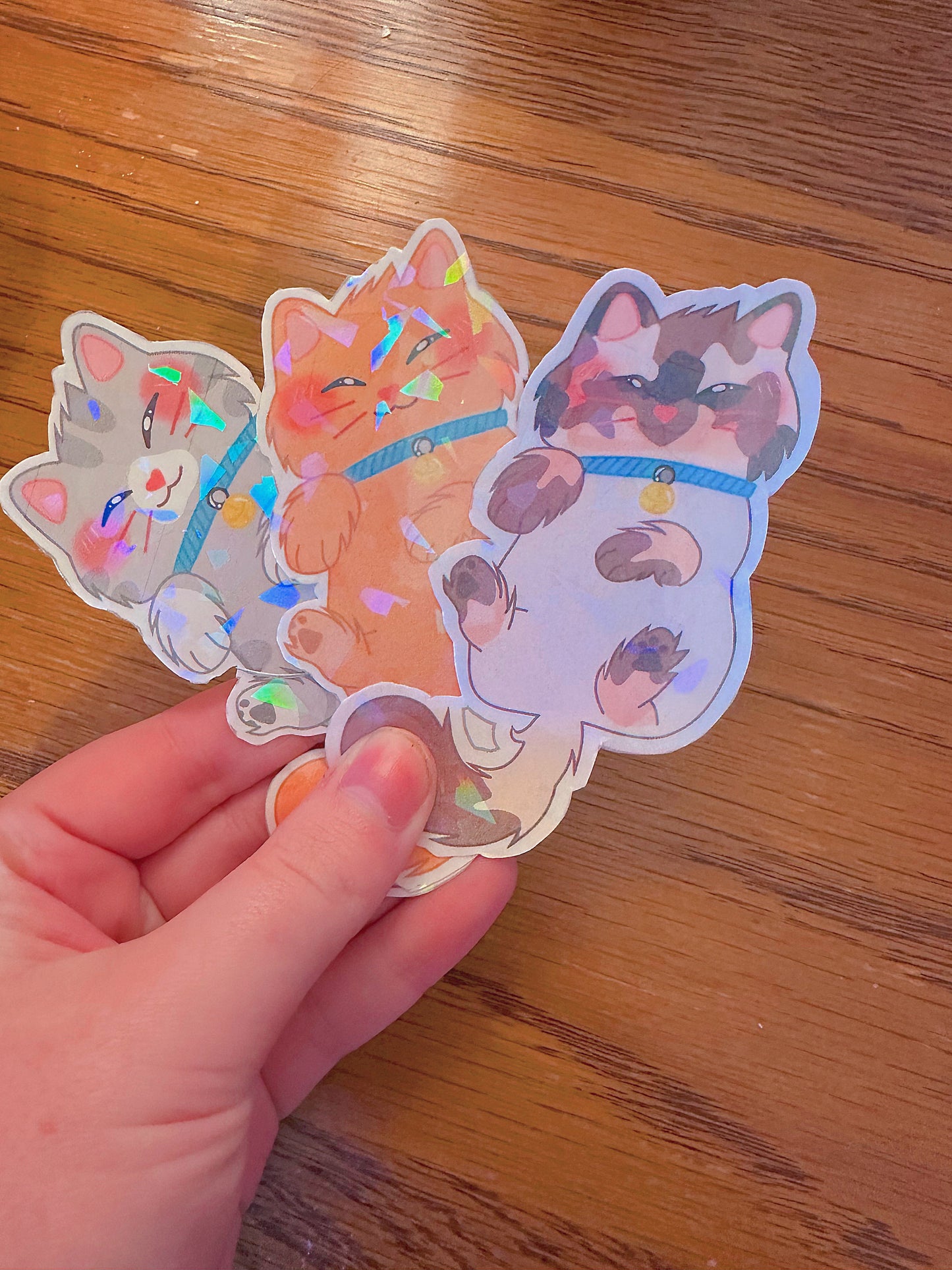 Cute Holographic Kitten Sticker Bundle (Broken Glass)