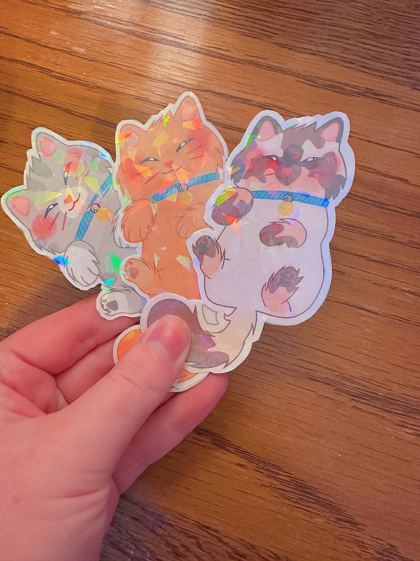 Cute Holographic Kitten Sticker Bundle (Broken Glass)