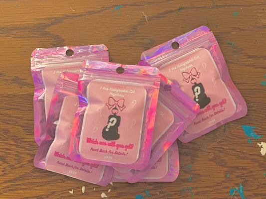 mystery/random holographic double sided kitty keychain | 5 different variants | keychain blind bag