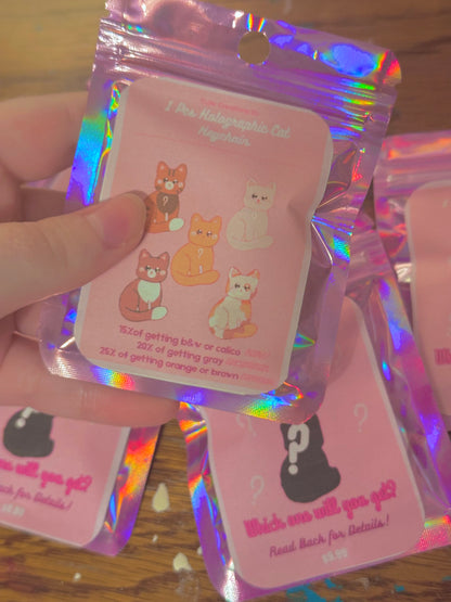 mystery/random holographic double sided kitty keychain | 5 different variants | keychain blind bag