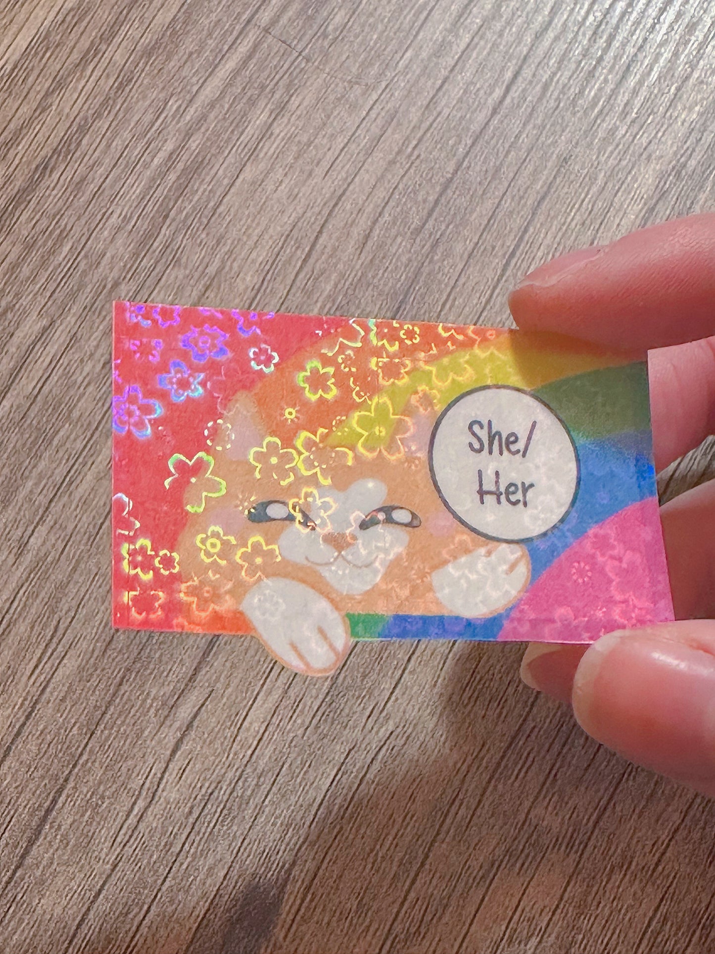 Cute Holographic Kitty Pronoun Sticker / Pride Stickers🏳️‍🌈🏳️‍⚧️