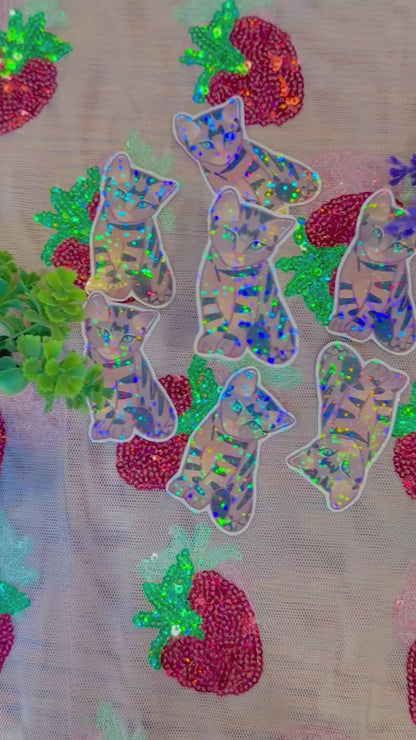 cute & kawaii holographic kitty sticker |handmade! |